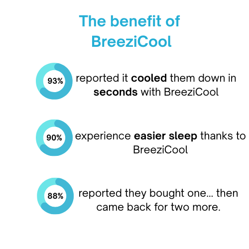 BreeziCool Fan