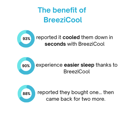 BreeziCool Fan